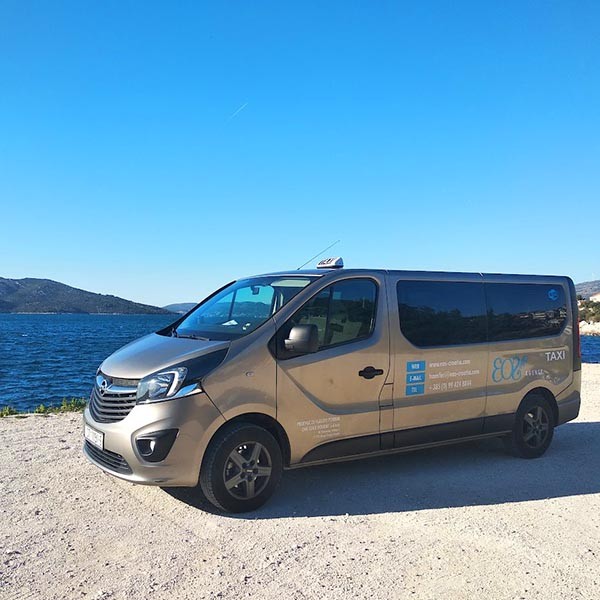 8+1 van for taxi or transfer